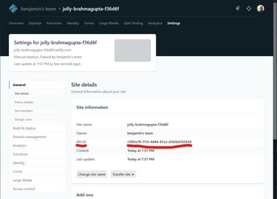 Netlify API ID in Netlify dashboard